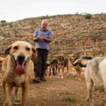 Houssein Hamze’s rescued dog pulled him from bed moments before a bomb struck in 2006; when war returned, he refused to leave Lebanon’s abandoned animals | World News