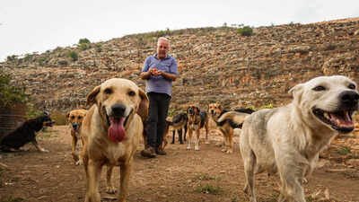 Houssein Hamze’s rescued dog pulled him from bed moments before a bomb struck in 2006; when war returned, he refused to leave Lebanon’s abandoned animals | World News