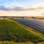 Illinois farmers are making up to 0,000 a year without growing more crops as solar companies offer long-term leases worth up to ,000 per acre | World News