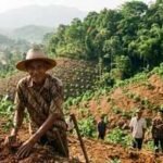 In 1996, Indonesia’s ‘crazy’ tree planter who was mocked for his mission planted 11,000 trees and turned barren hills into a green paradise | World News