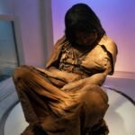 In 1999, archaeologists found a teenage Inca girl frozen on a 6,739-metre volcano, where she had remained untouched for more than 500 years | World News