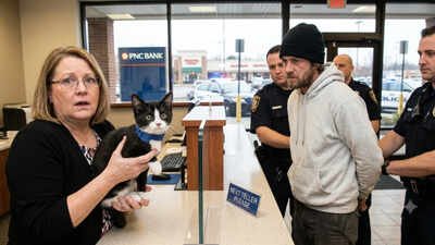 Man Steals Kitten And Robs A Bank: Man steals kitten, tries to rob a Maryland bank but gets caught; feline Magnolia is now looking for a ‘law-abiding’ owner!