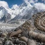 Marine fossils found near Mount Everest summit tell the remarkable story of a vanished ocean | World News