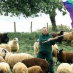 Meet Michael Stucke: German farmer who saves ‘gay’ sheep from slaughter and uses proceeds to help people flee homophobic persecution | World News