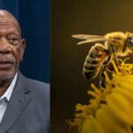 Meet Morgan Freeman: The Oscar-winning actor who gave up harvesting honey and turned his 124-acre ranch into a safe haven for bees | World News