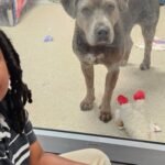 Meet Nehemiah Turner: The 11-year-old Florida boy who spent more than 100 hours reading to shelter animals and changed countless lives by helping anxious pets find forever homes | World News