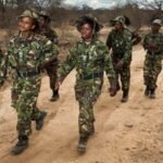 Meet the Black Mambas: In one of South Africa’s regions hardest hit by poaching, 36 unarmed women patrol the frontline and protect endangered rhinos | World News