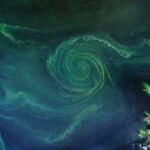 Lincoln: The Lincoln Memorial Reflecting Pool became a real-world test case for nanobubbles, tiny gas bubbles that can clean water, fight algae and potentially help restore polluted lakes and seas