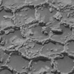 NASA’s curiosity rover spots mysterious honeycomb pattern on Mars, leaving scientists puzzled over its origin