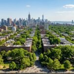 New York spent 8 years planting one million trees. Now the city is aiming for 30% tree cover by 2040 to transform its fight against rising heat | World News