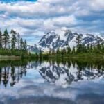 How to protect yourself around dangerous North American wild animals: Essential safety tips for your national park visit | World News