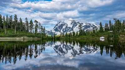 How to protect yourself around dangerous North American wild animals: Essential safety tips for your national park visit | World News