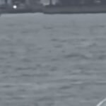 Seaplane Crash New York: Watch: Seaplane carrying eight crash lands in New York’s East River