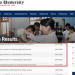 Ou Results: Osmania University declares UG CBCS May 2026 results for regular and backlog examinations; download here