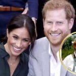 Princess Diana allegedly recorded secret tapes warning Prince Harry’s wife, Meghan Markle: ‘Don’t let them eat you alive’ |