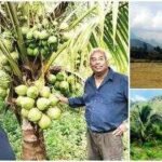 R Madhavan turns barren land into lush coconut farm in Tamil Nadu; 3-year eco-friendly project brings back biodiversity, actor plans expansion across India | Hindi Movie News