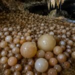 Researchers discover cave with rare cave pearls in Vietnam’s Phong Nha-Ke Bang National Park | World News