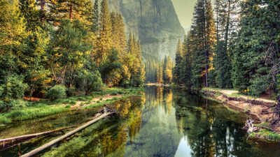 How the ‘roadless rule’ protects clean drinking water for 25 million Americans, new study finds