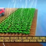 Scientists are spreading crushed volcanic rock across farmland; here’s how ordinary farms could help remove carbon dioxide from the atmosphere