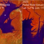 Satellite images reveal global mangrove recovery: Nasa study shows forests springing back, but rising seas could still drown them |