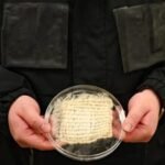 Scientists build a jacket that harvests nearly 1 litre of clean drinking water straight from the air |