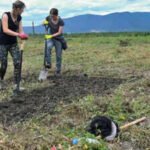 NATO-backed scientists planted 13-foot-tall giant grass on war-damaged land near Bucha, hoping its roots can help clean Ukraine’s polluted soil
