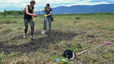 NATO-backed scientists planted 13-foot-tall giant grass on war-damaged land near Bucha, hoping its roots can help clean Ukraine’s polluted soil