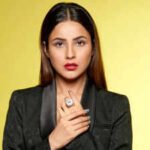 Shehnaaz Gill opens up on why Bollywood offers dried up: ‘I’ve become star in the Punjabi film industry’ |