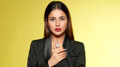 Shehnaaz Gill opens up on why Bollywood offers dried up: ‘I’ve become star in the Punjabi film industry’ |