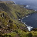 Six helicopters will drop 550 tons of poison on this island: Why a project is spending  million on this exercise |