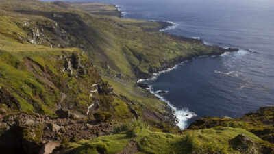 Six helicopters will drop 550 tons of poison on this island: Why a project is spending  million on this exercise |
