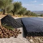 Spain is turning millions of discarded olive pits into road material that could store carbon for decades and cut asphalt emissions by up to 75% | World News