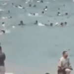 Spain migrant crisis: Military deployed as thousands cross border; 9 killed