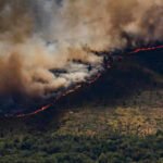 Spain Wildfires: ‘All out of control’: Spain invokes first wildfire emergency as fires rage across Europe; over 10,000 evacuated