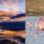 Tanzania’s Lake Natron is one of the world’s deadliest lakes, yet a paradise for flamingos | World News