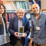Cambridge scientists create a living bio-battery that generates electricity around the clock using algae and could replace millions of disposable batteries |