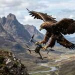 The Dutch police trained eagles to catch illegal drones, but the unusual experiment was later abandoned | World News