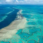 Great Barrier Reef: Scientists mapped the invisible microbiome of the Great Barrier Reef and found more than 500 new bacterial species and over 300,000 viruses in its waters