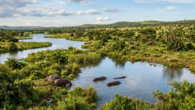 The Sahara Desert was once filled with rivers, giant lakes and hippos. Scientists explain why it turns green every 20,000 years | World News