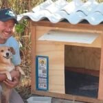 This Brazilian truck driver has built more than 1,700 wooden homes for stray dogs and cats, giving them shelter from rain and cold | World News