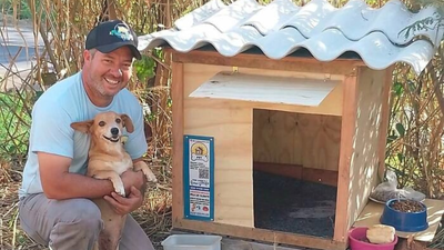 This Brazilian truck driver has built more than 1,700 wooden homes for stray dogs and cats, giving them shelter from rain and cold | World News