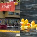 Thousands of rubber ducks raced through a London canal to raise money for critically ill children, turning a charity event into a colourful spectacle | World News