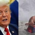 President Donald Trump has invited 16-year old rookie life guard with his family to the White House for a special honour: All about Ryder Williams who made California proud