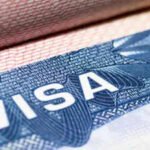 What happened to ‘Green Cards stapled to diplomas’: Attorney reacts to proposal of 0,000 OPT fee
