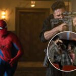 ‘Spider Man – Brand New Day’: Fight breaks out in theatre over Tom Holland starrer’s spoilers; video surfaces online | English Movie News
