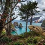 Hawaii has remained snake-free for millions of years, and the reason lies in how the islands were born | World News
