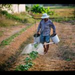 UPSC topic: India’s agricultural calendar divided by kharif, rabi and zaid seasons