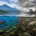 The African Great Lakes contain more than 25% of Earth’s surface freshwater, yet many of their unique species face extinction |