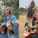 Los Angeles singer taught her rescue horse to play the guitar and harp, and now they are releasing an album together | World News