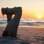 Horoscope Today (Birth Date 7), August 10, 2026: Break free from old habits! How birth dates 7, 16, & 25 can adopt better methods for technical & health success
